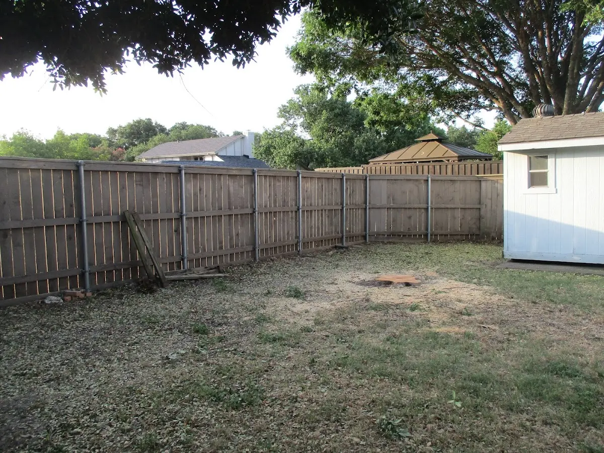 Cleared yard after professional tree removal in Aleknagik